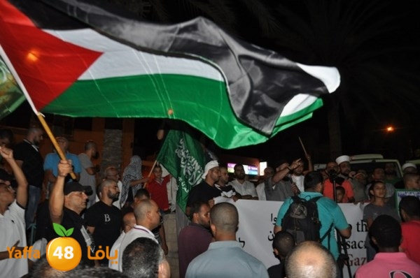 yaffa tdahorajw (61).JPG